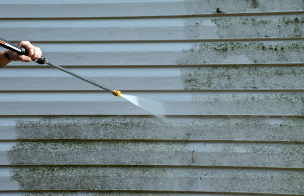 Best Solar Panel Cleaning  in Delhi, LA